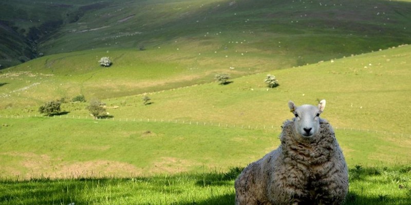 5 dicas para a sua viagem